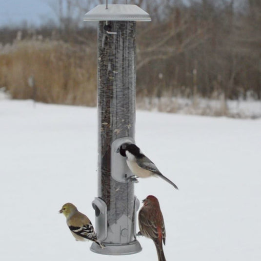 three birds feeding from the Nature's Way Deluxe Easy Clean Tube Feeder in winter