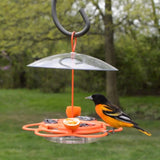 oriole perching on the Nature's Way All-In-One Oriole Buffet