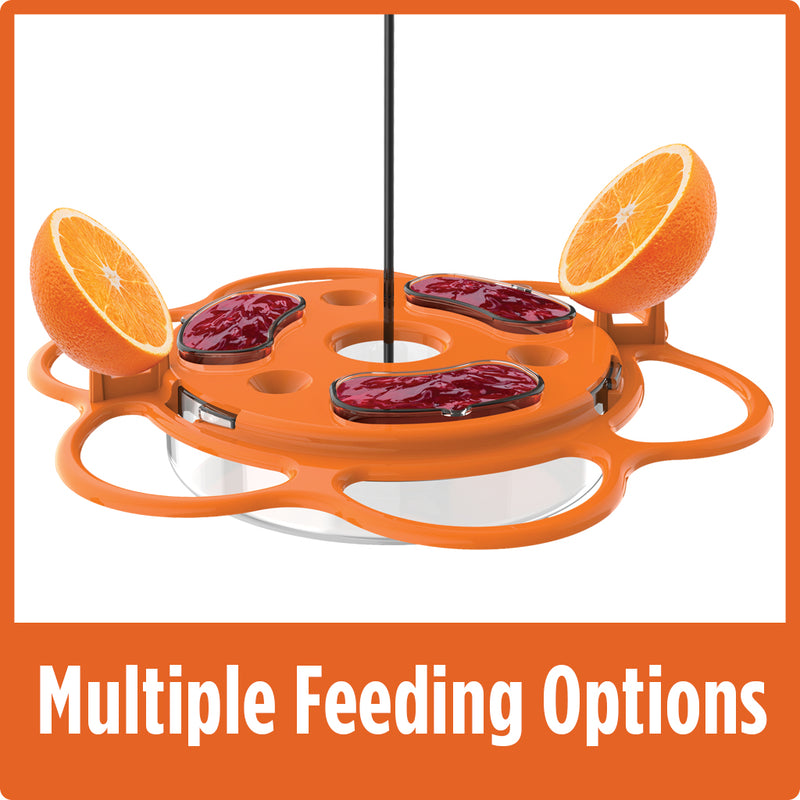 Load image into Gallery viewer, two orange halves on spikes and three dishes full of jelly demonstrates multiple feeding options on the Nature&#39;s Way All-In-One Oriole Buffet
