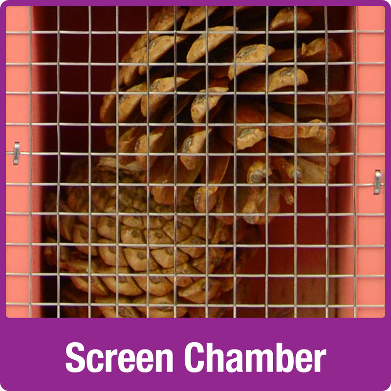 Load image into Gallery viewer, screen chamber with pinecones inside on the Better Gardens Dual-Chamber Beneficial Insect House
