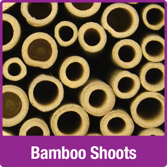 bamboo shoots on the Better Gardens Multi-Chamber Beneficial Insect House
