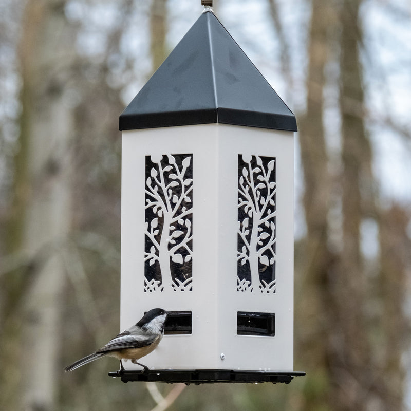 Load image into Gallery viewer, chickadee feeding from Squirrel Shield Lantern Feeder
