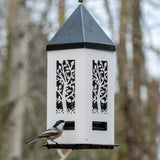 chickadee feeding from Squirrel Shield Lantern Feeder