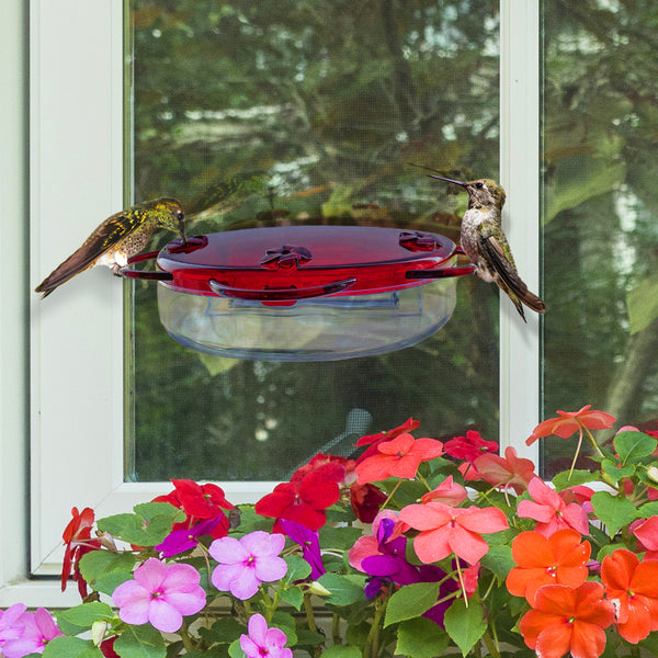 Traditional Window Hummingbird Feeder (Model# TWF1)
