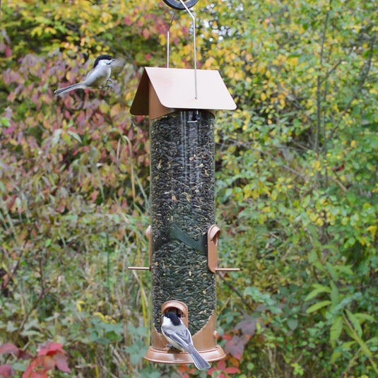 bird feeding from the Nature's Way Wide Deluxe Easy Clean Tube Feeder