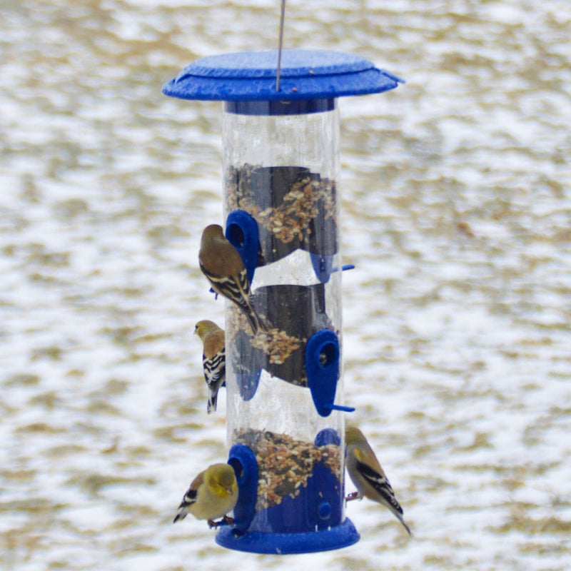 Load image into Gallery viewer, four birds feeding from the Nature&#39;s Way Wide Funnel Flip-Top Tube Feeder in winter
