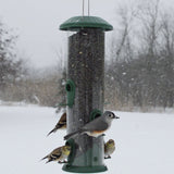 Four birds feeding from the Nature's Way Wide Easy Clean Tube Feeder