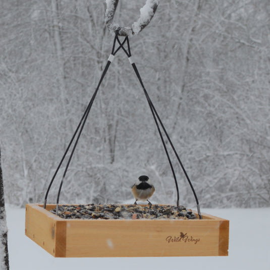 chickadee feeding from Nature's Way Wild Wings Hanging Platform cedar bird Feeder