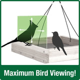 Large bird spacing for Nature's Way Wild Wings Hanging Platform cedar bird Feeder