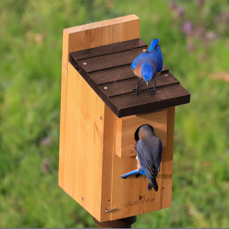 Load image into Gallery viewer, Bluebird Box House (Model# WWCH3)
