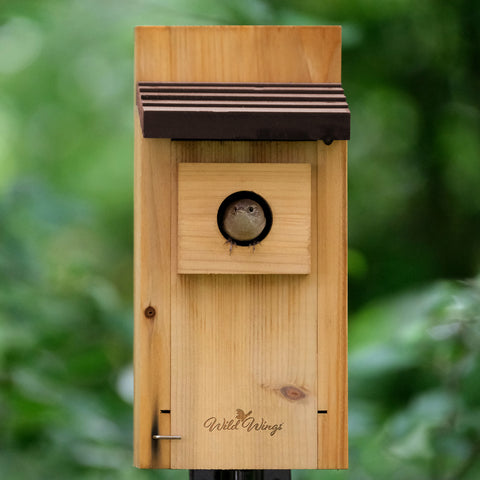 Bluebird Box House (Model# WWCH3)