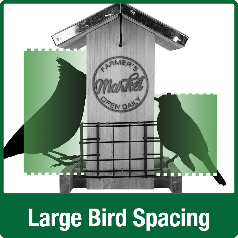 Load image into Gallery viewer, Demonstration of large bird spacing on Nature&#39;s Way Wild Wings Galvanized Weathered Hopper Bird Feeder with two suet cages
