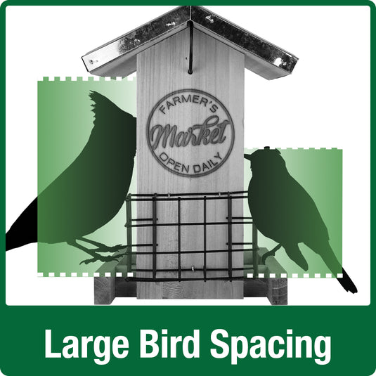 Demonstration of large bird spacing on Nature's Way Wild Wings Galvanized Weathered Hopper Bird Feeder with two suet cages