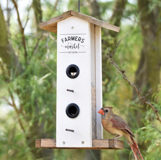 cardinal feeding from Nature's Way Wild Wings Farmhouse Vertical cedar bird Feeder