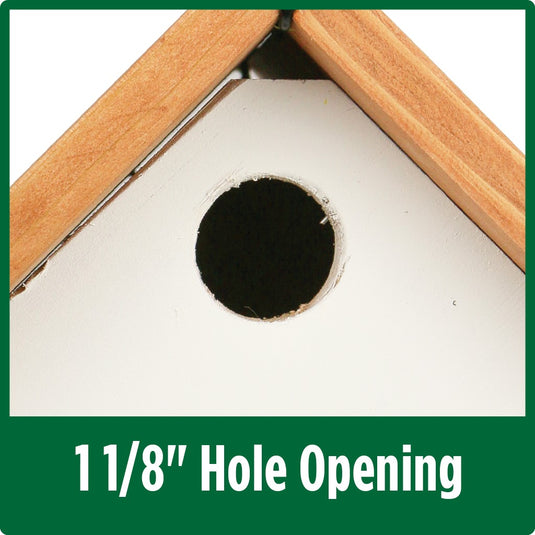 1 1/8 inch hole size detracts predators on the Nature's Way Farmhouse Wren House