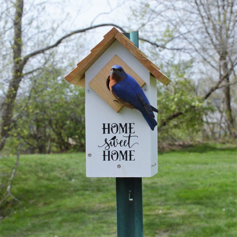 Load image into Gallery viewer, Farmhouse Bluebird House (Model# WWLH3-DECO)
