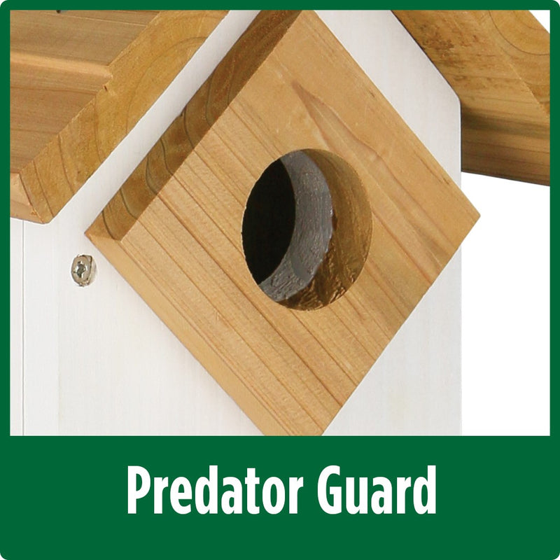 Load image into Gallery viewer, predator guard on the Wild Wings Farmhouse Bluebird House
