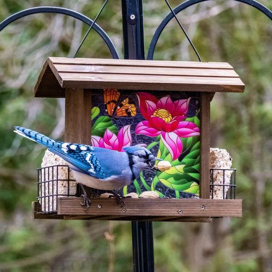 blue jay feeding from nature's way stained glass hopper feeder