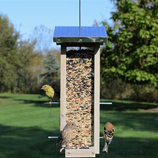 Birds visiting Nature's Way Wild Wings decorative weathered vertical feeder with multiple feeding ports and perch platforms