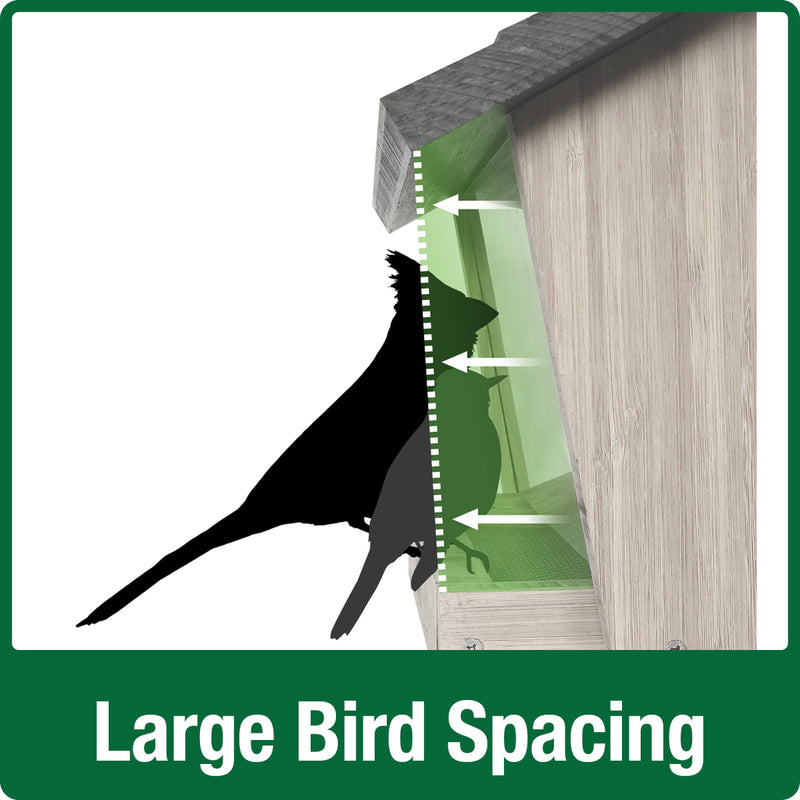 Load image into Gallery viewer, Large bird spacing for Nature&#39;s Way 3 QT Hopper cedar bird Feeder with two Suet Cages

