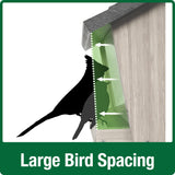Large bird spacing for Nature's Way 3 QT Hopper cedar bird Feeder with two Suet Cages