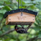 woodpecker feeding from nature's way upside down suet feeder