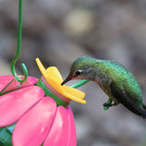 hummingbird feeding from the Nature's Way So Real Single Flower Hummingbird Feeder - Pink