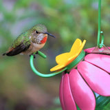 hummingbird perching on the Nature's Way So Real Single Flower Hummingbird Feeder - Pink