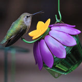 hummingbird feeding from Nature's Way So Real Single Flower Hummingbird Feeder - Purple