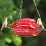 two hummingbirds feeding from the nature's way Modern Hummingbird Feeder - Solid Red