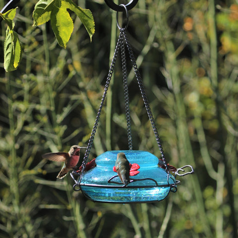 two hummingbirds feeding from the Nature's Way hand blown glass garden hummingbird feeder in mason jar blue