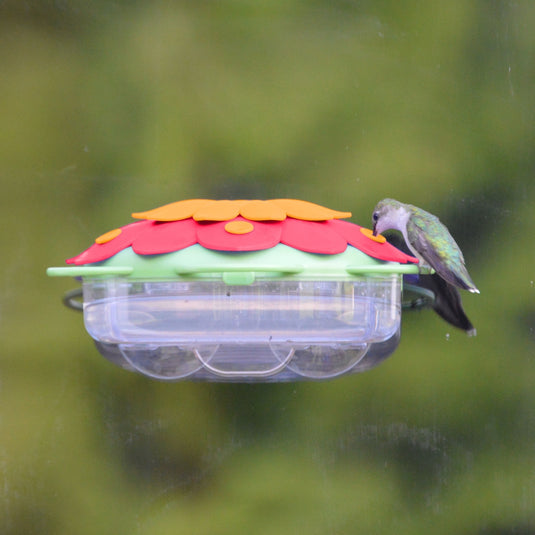 hummingbird feeding from the Nature's Way So Real Window Hummingbird Feeder - in orange and Honeysuckle colors