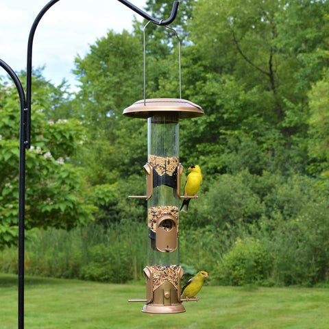two finches feeding from the Nature's Way Deluxe Funnel Flip-Top Tube Feeder