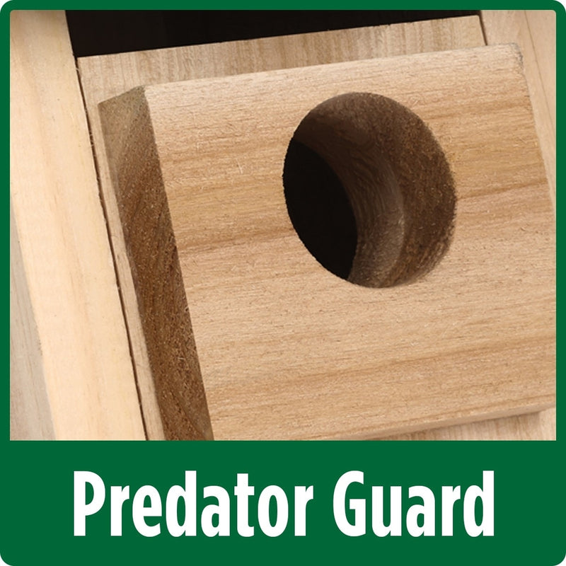 Load image into Gallery viewer, predator guard on the Wild Wings Bluebird Box House

