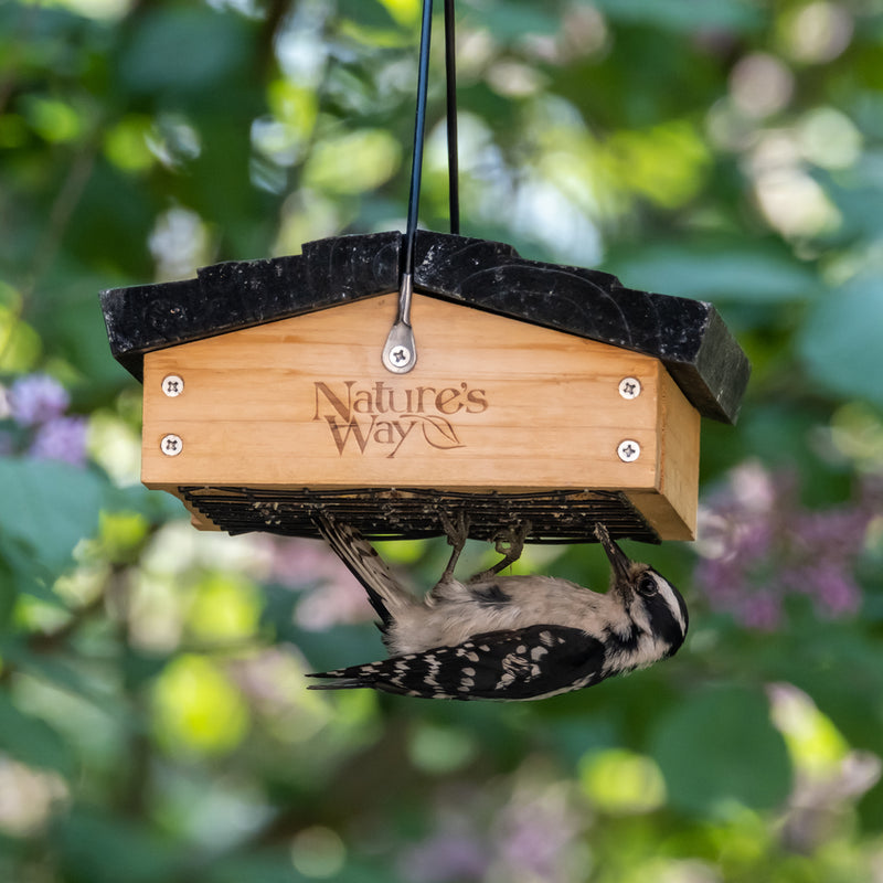 Load image into Gallery viewer, woodpecker feeding from nature&#39;s way upside down suet feeder
