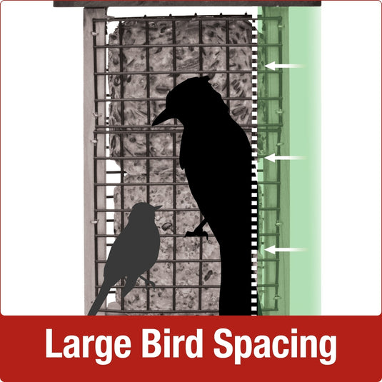 large bird spacing for nature's way Double Suet Tail Prop Feeder