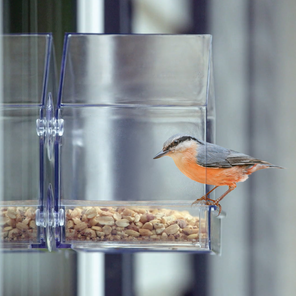  Window Bird Feeder Kit - Clear Bird Feeders To Make