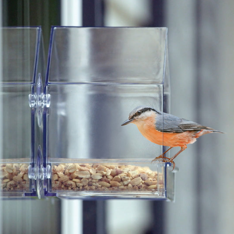 Load image into Gallery viewer, Clear View Window Feeder
