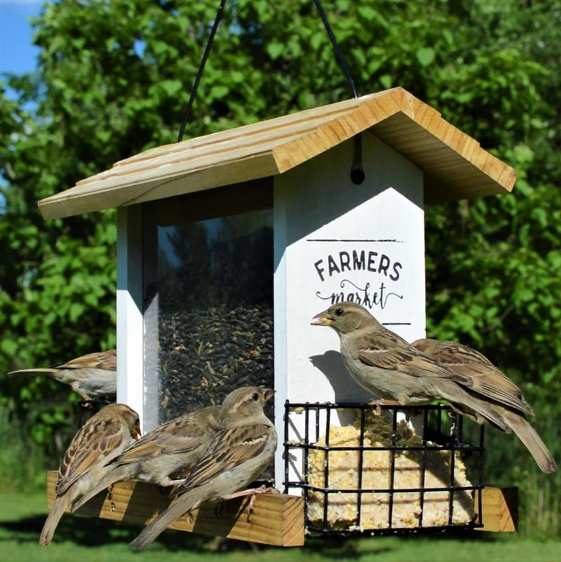 Load image into Gallery viewer, Six birds feeding from Nature&#39;s Way Wild Wings Farmhouse Hopper Bird Feeder
