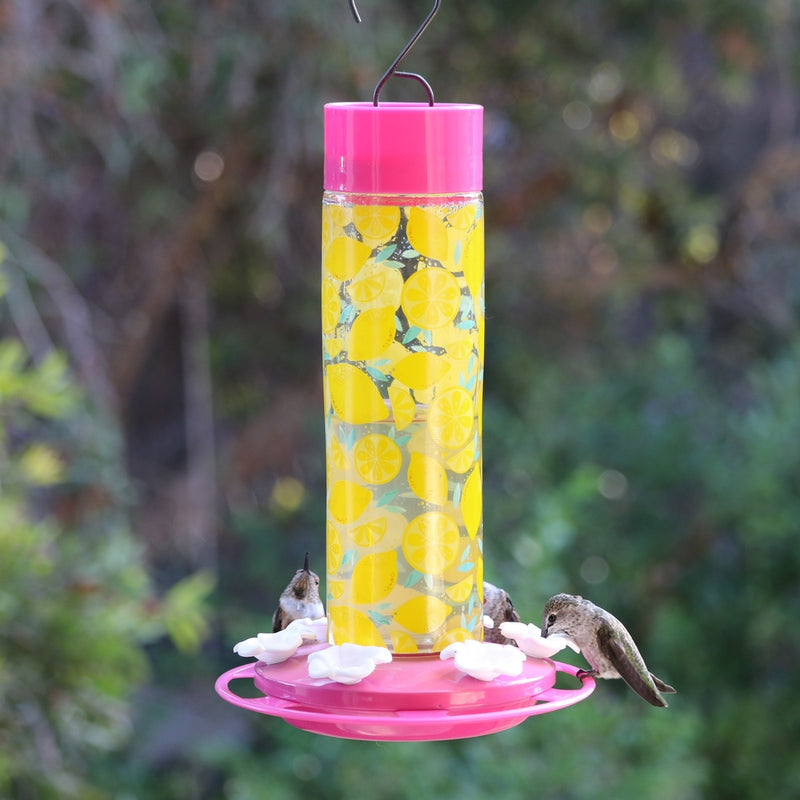 Load image into Gallery viewer, Hummingbird Lemonade Stand Feeder (Model# DGHF-ALSF)
