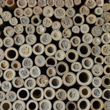 mudded tubes on the Better Gardens Farmhouse Bee Barn