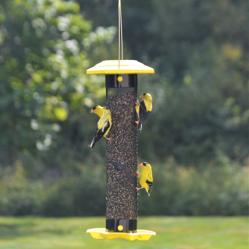 Load image into Gallery viewer, three finches feeding from the nature&#39;s way Funnel Flip-Top Mesh Finch Feeder
