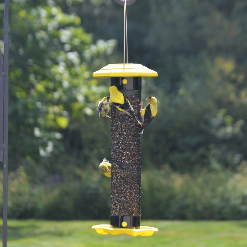 Load image into Gallery viewer, four finches feeding from the nature&#39;s way Funnel Flip-Top Mesh Finch Feeder
