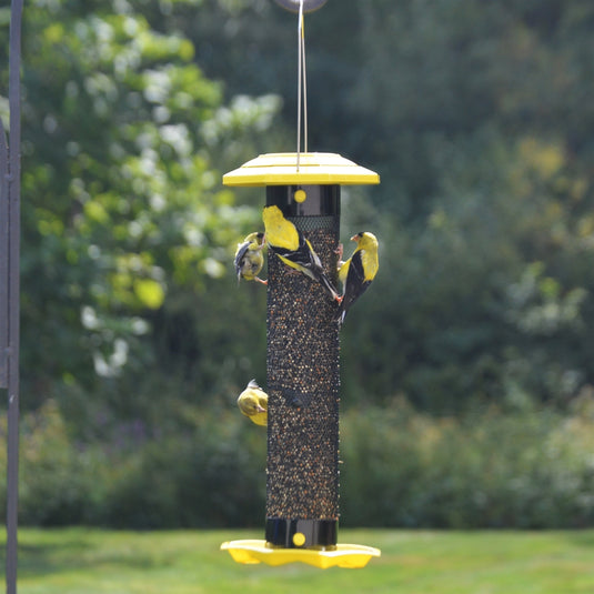 four finches feeding from the nature's way Funnel Flip-Top Mesh Finch Feeder