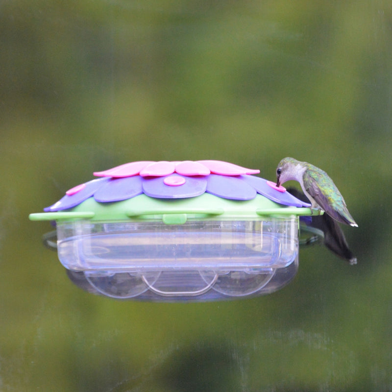 Load image into Gallery viewer, hummingbird feeding from So Real Window Hummingbird Feeder in Purple Fuchsia colors
