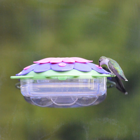 hummingbird feeding from So Real Window Hummingbird Feeder in Purple Fuchsia colors