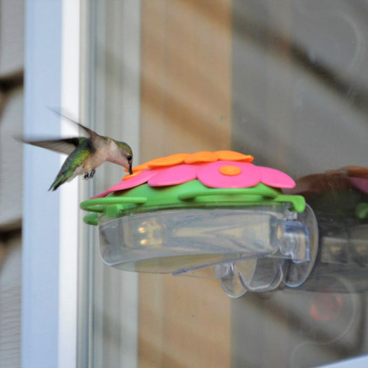 hummingbird feeding from Nature's Way So Real Window Hummingbird Feeder - in orange and Honeysuckle colors